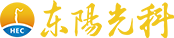 廣東東陽光科技控股股份有限公司